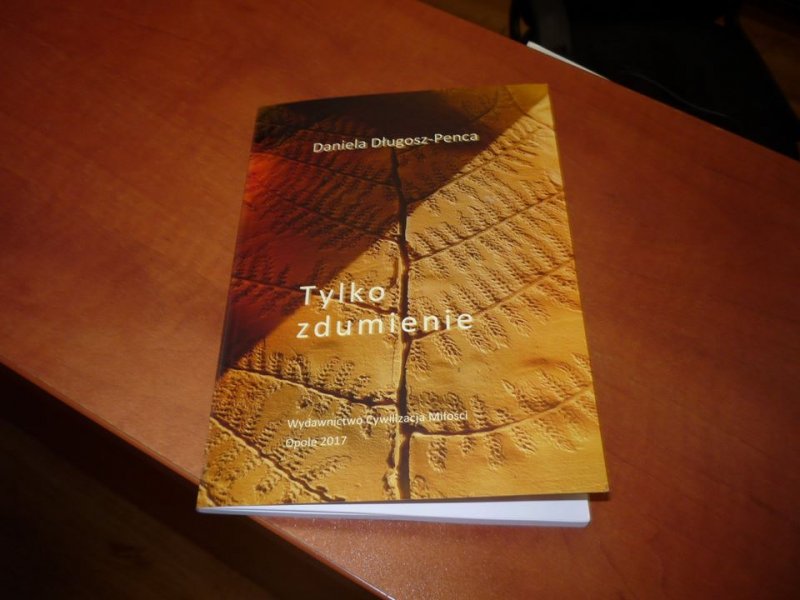 Obraz: